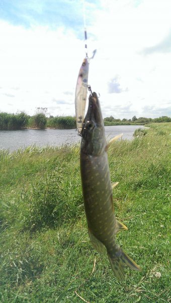 2016-06-02 12.11.59.jpg