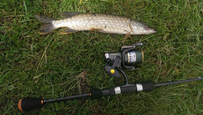 2016-06-03 15.11.39.jpg