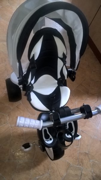 WP_20160609_10_46_43_Pro 1.jpg