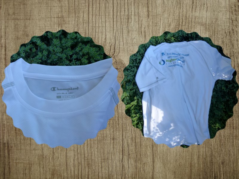 t-shirt @Champion@.jpg