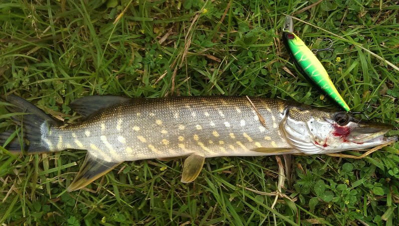 2016-06-14 12.52.23.jpg