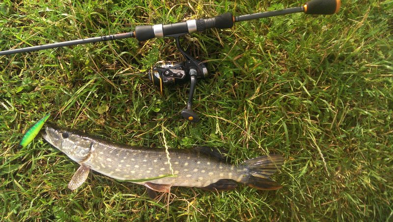 2016-06-22 08.27.48.jpg