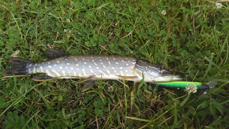 2016-06-22 10.11.06.jpg