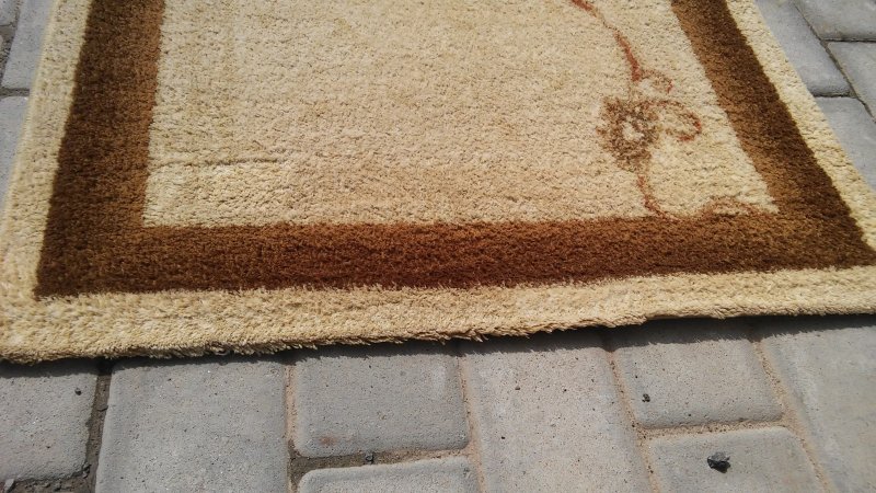 20160622_115119 (1).jpg