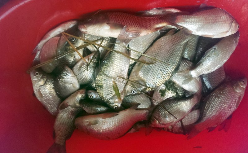 2016-07-02 13.24.58.jpg