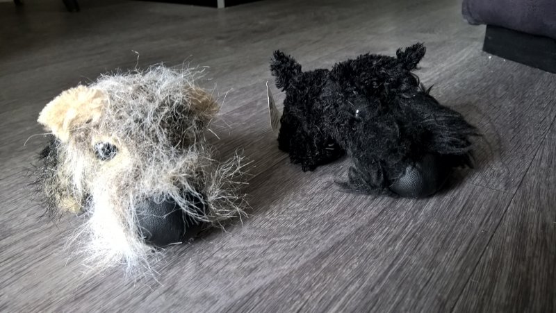 WP_20160628_16_37_11_Pro (1).jpg