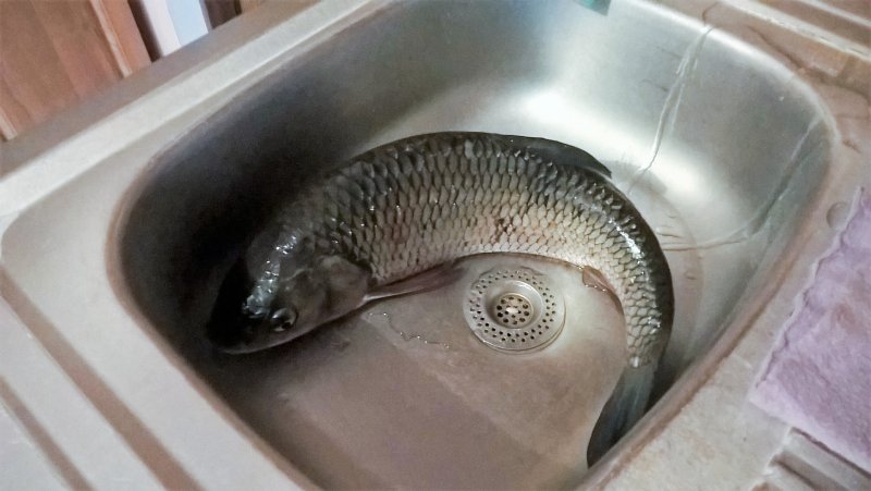 WP_20160708_07_41_49_Pro_LI (2).jpg