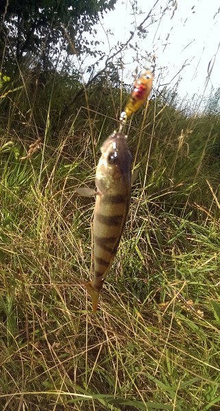 2016-07-08 18.31.35.jpg