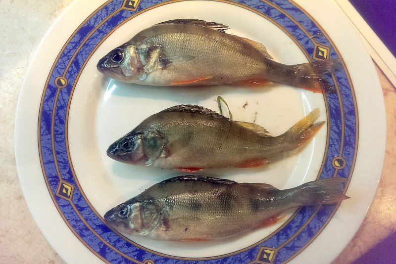 2016-07-08 22.27.06.jpg