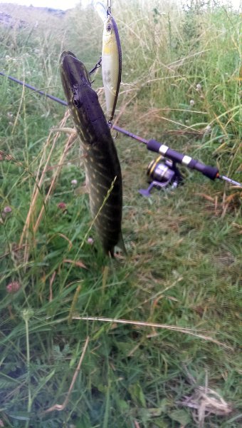 2016-07-09 06.39.35.jpg