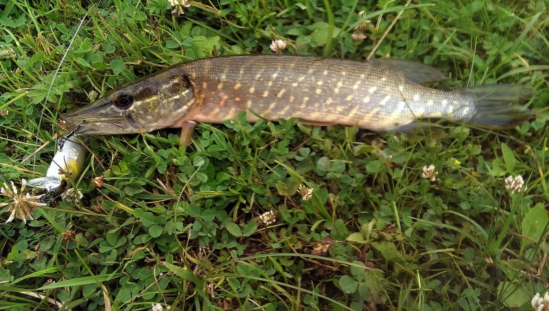 2016-07-09 09.19.36.jpg