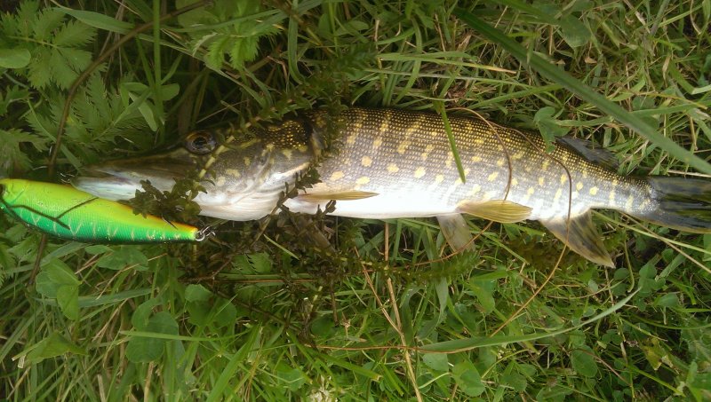 2016-07-19 12.55.24.jpg