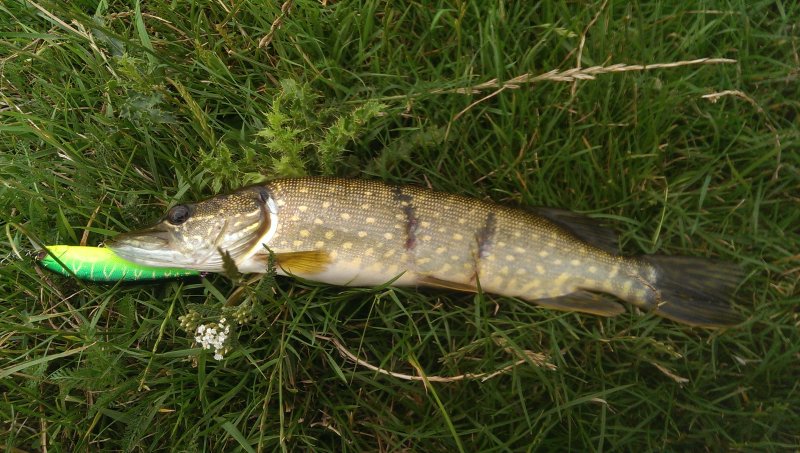 2016-07-19 17.00.47.jpg