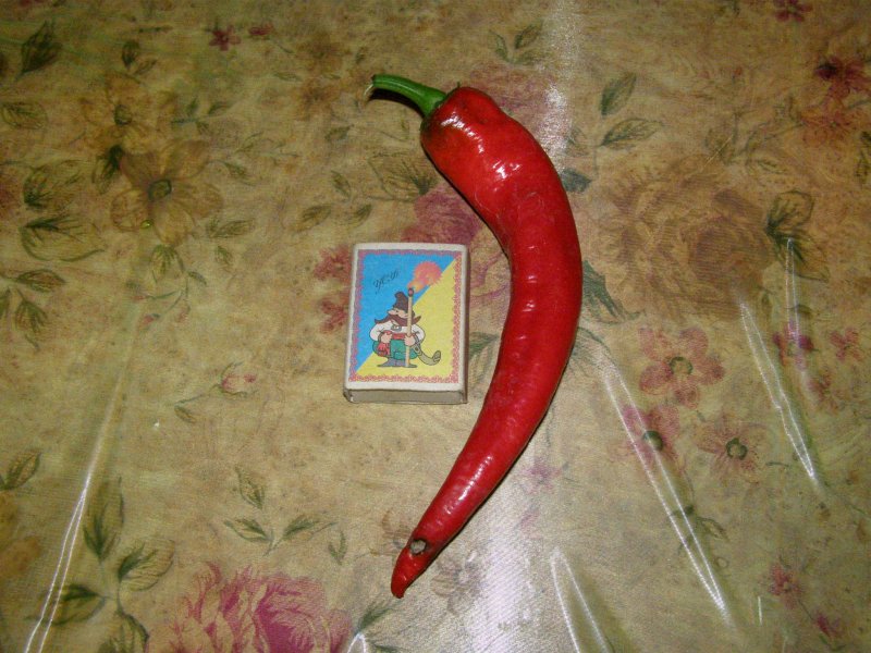 Перец.JPG