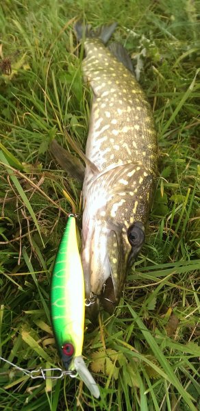 2016-10-11 14.44.06.jpg