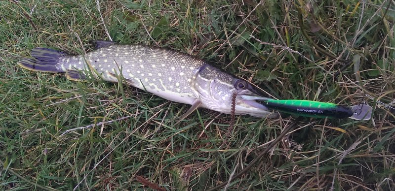 2016-10-11 16.27.05.jpg