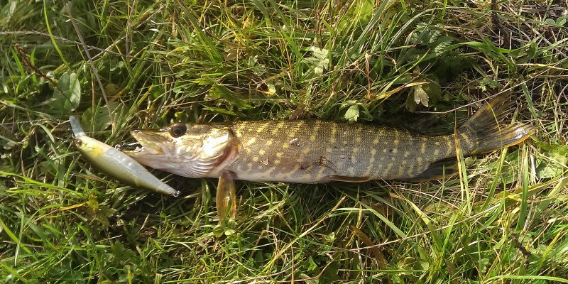 2016-10-13 15.38.15.jpg