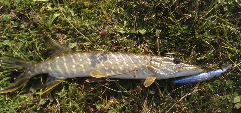 2016-09-30 16.19.49.jpg