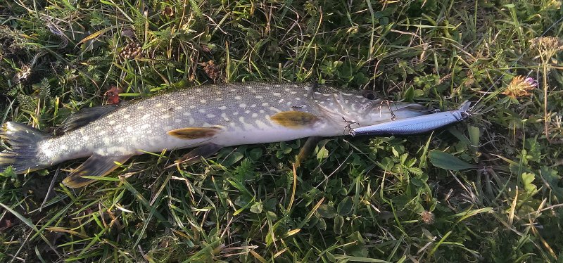 2016-10-13 17.15.53.jpg