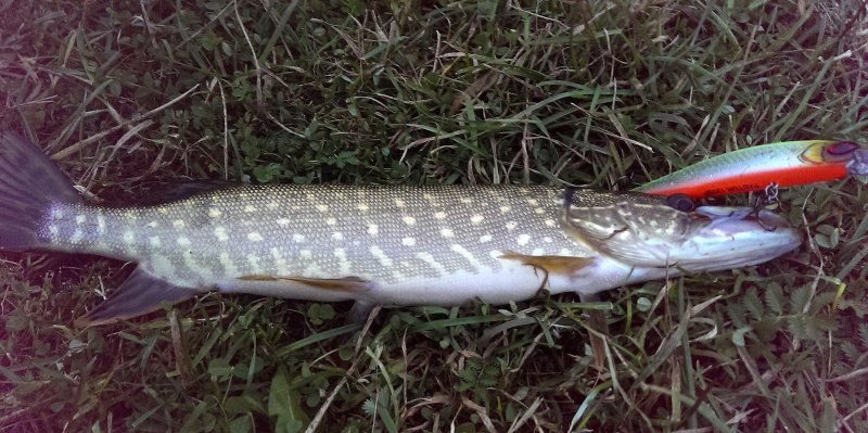 2016-10-22 08.09.01.jpg