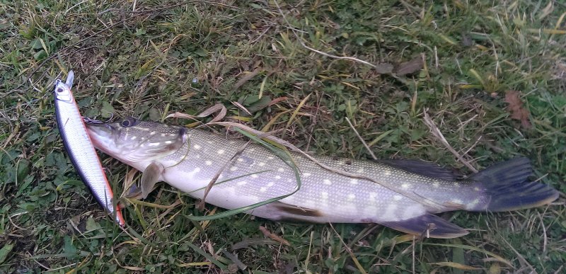 2016-10-22 09.56.56.jpg