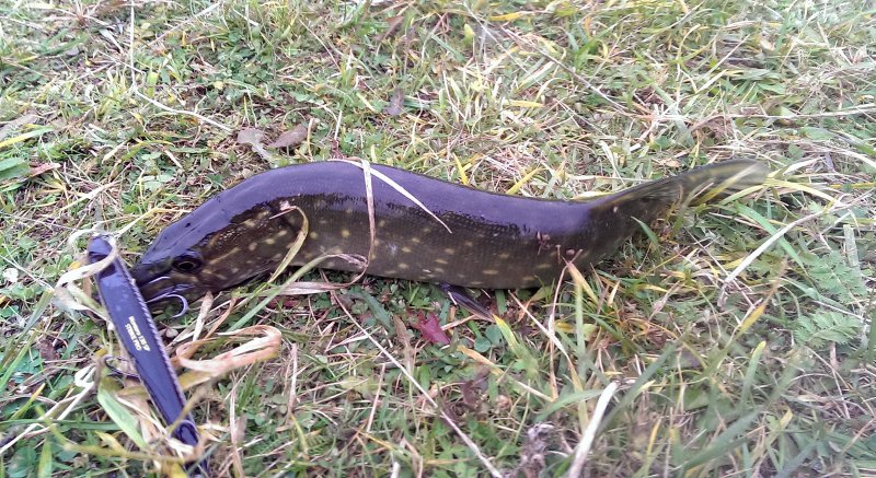 2016-10-22 09.57.09.jpg