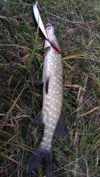 2016-10-22 10.08.03.jpg