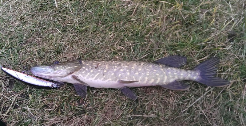 2016-10-22 11.05.51.jpg