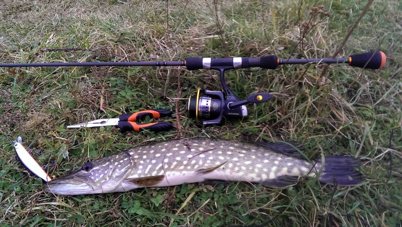 2016-10-22 10.56.25.jpg