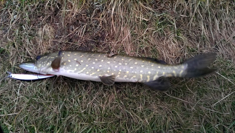 2016-10-22 11.16.03.jpg