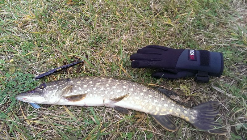 2016-10-26 14.40.57.jpg