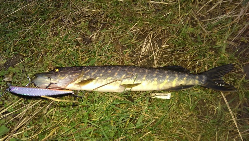 2016-10-26 17.36.12.jpg