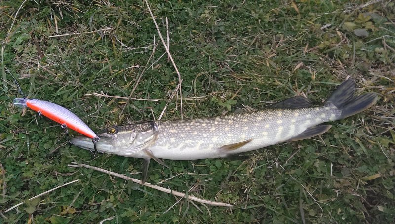 2016-10-26 15.36.18.jpg