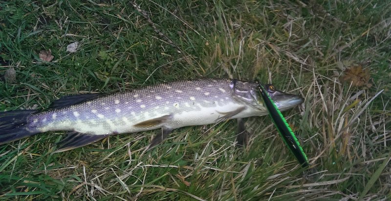 2016-10-28 17.01.36.jpg