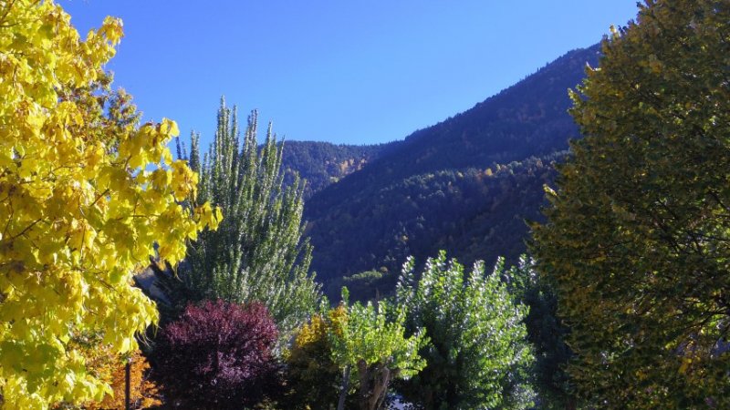 IMGP3627 (Small).JPG