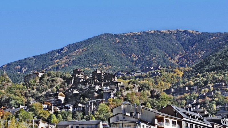 IMGP3648 (Small).JPG