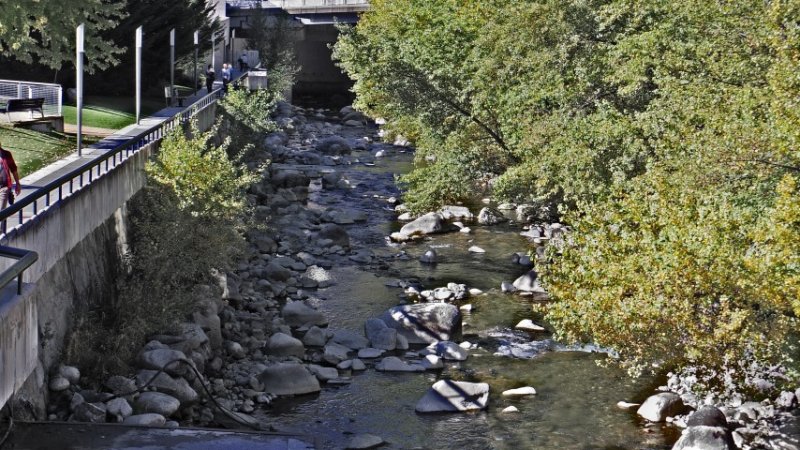 IMGP3652 (Small).JPG