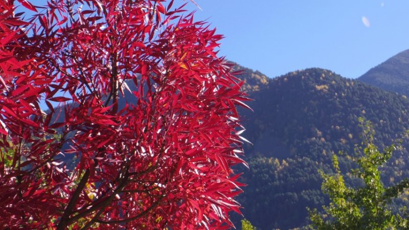 IMGP3666 (Small).JPG