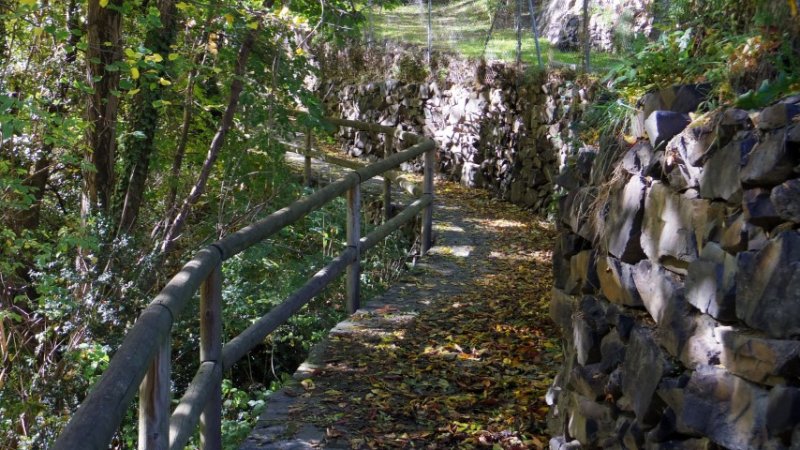 IMGP3668 (Small).JPG