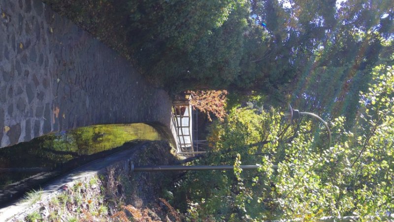 IMGP3670 (Small).JPG