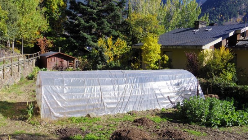 IMGP3675 (Small).JPG