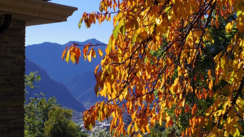 IMGP3686 (Small).JPG