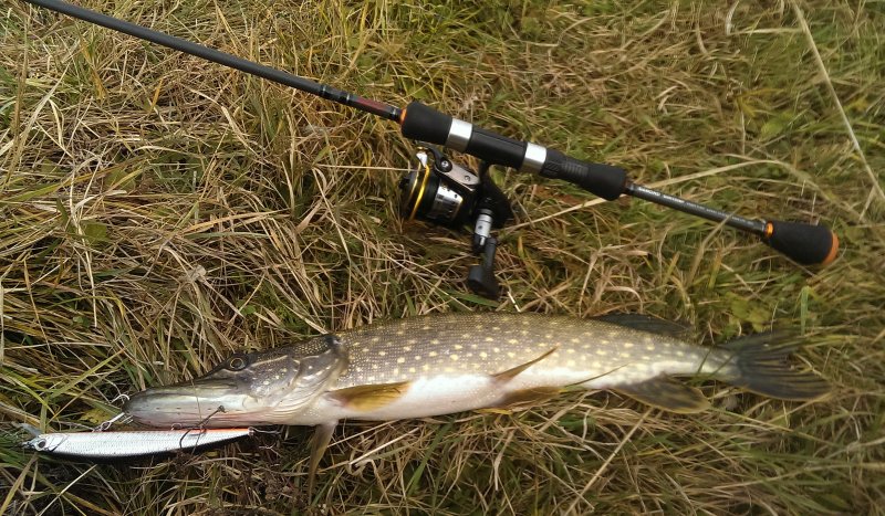 2016-10-27 13.20.09.jpg