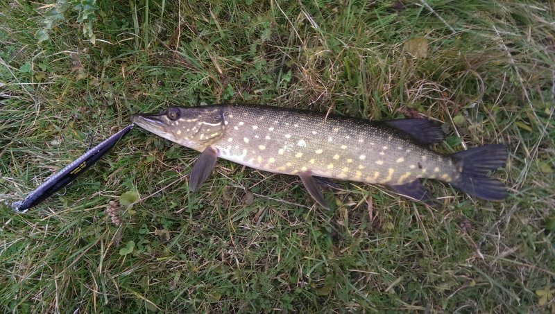 2016-11-01 13.51.49.jpg