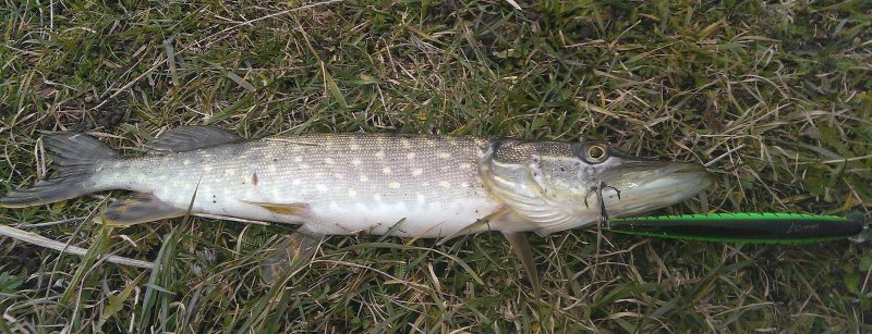 2016-11-05 14.01.35.jpg