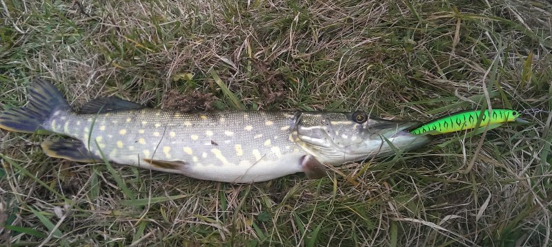 2016-11-05 15.01.47.jpg