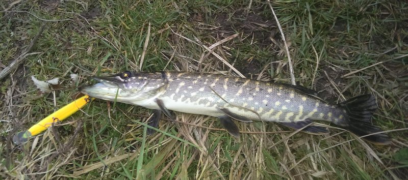 2016-11-05 15.53.45.jpg