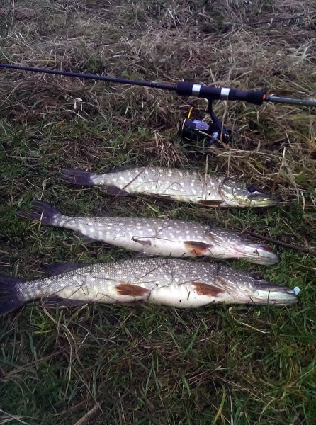 2016-11-11 15.46.13.jpg