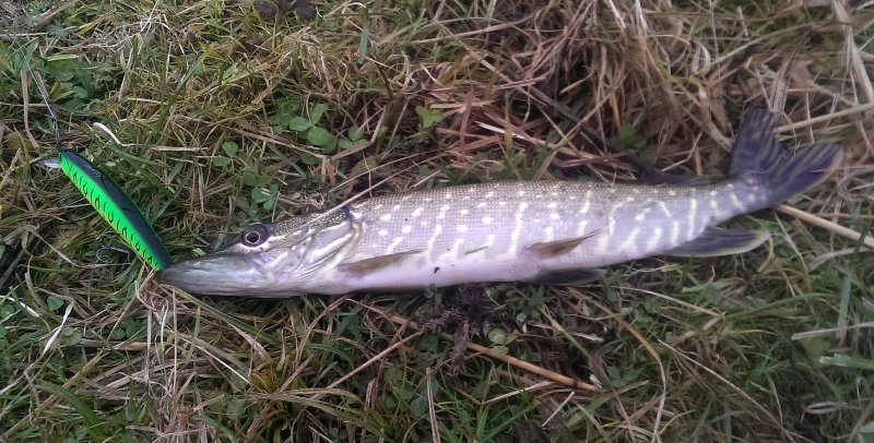 2016-11-12 14.39.31.jpg