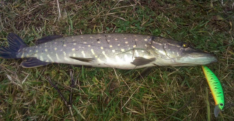 2016-11-12 15.41.41.jpg